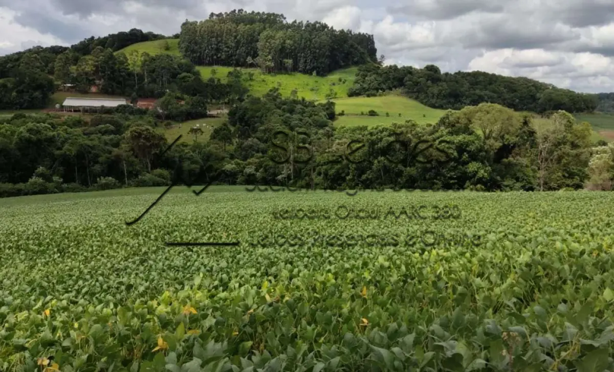 LOTE 000 - Imóvel Matrícula nº 6.731 do ORI da Comarca de São Lourenço do Oeste-SC