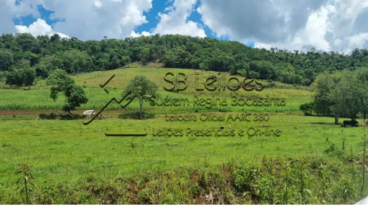 LOTE 000 - Imóvel Matrícula nº 0484 do ORI da Comarca de Mondaí-SC.