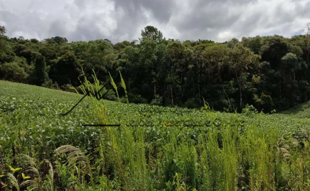 LOTE 000 - Imóvel Matrícula nº 6.731 do ORI da Comarca de São Lourenço do Oeste-SC