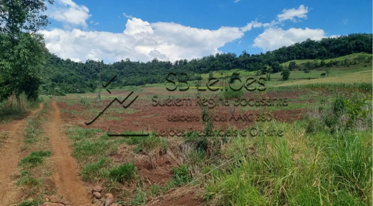 LOTE 000 - Imóvel Matrícula nº 7.480 do ORI da Comarca de Mondaí-SC