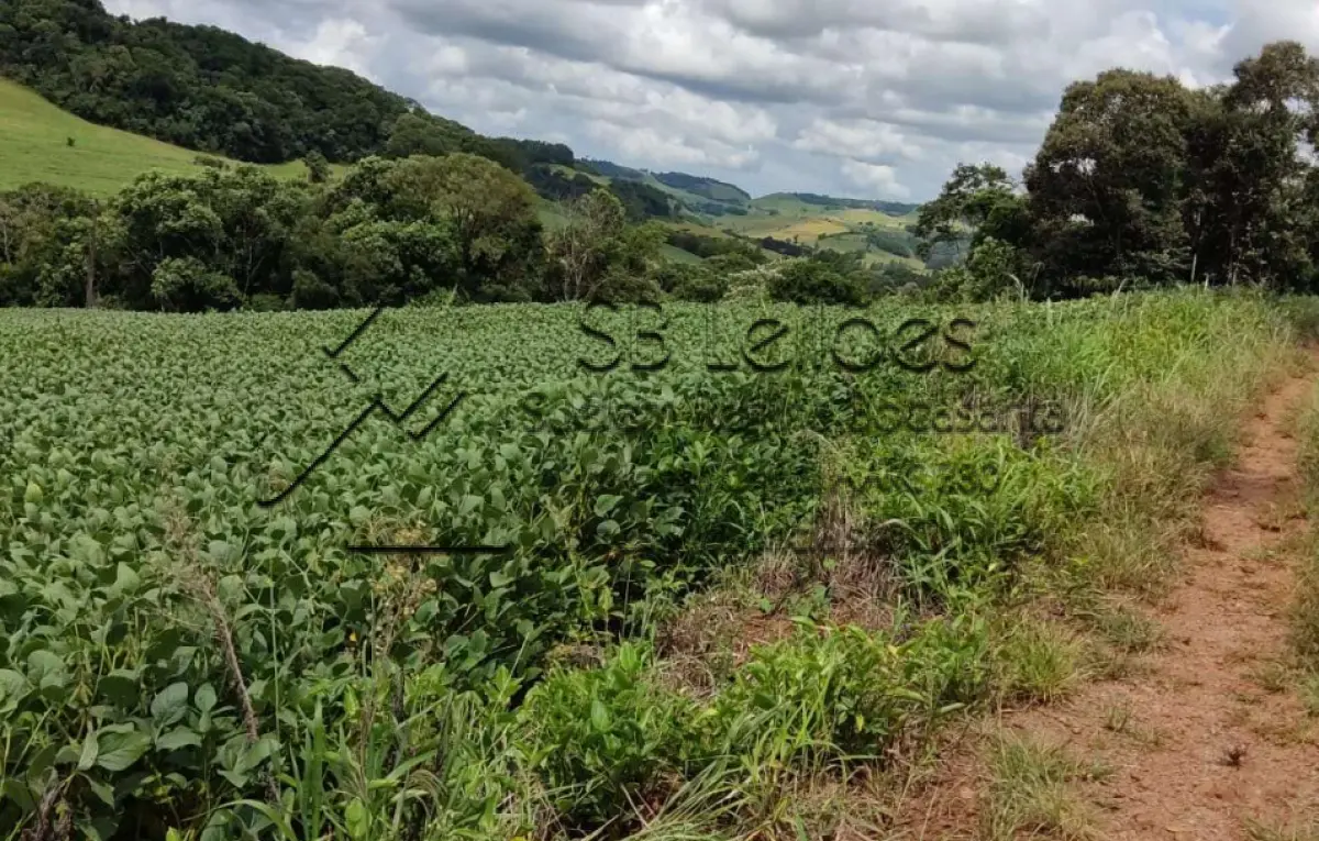 LOTE 000 - Imóvel Matrícula nº 6.731 do ORI da Comarca de São Lourenço do Oeste-SC