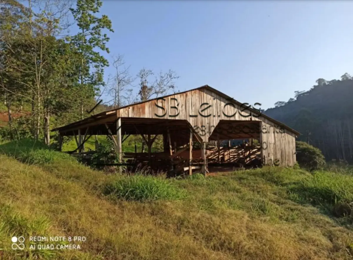 LOTE 000 - Imóvel Matrícula nº 1.393 do ORI da Comarca de Mondaí-SC