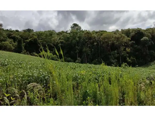 COMARCA DE SÃO LOURENÇO DO OESTE-SC (ELETRÔNICO)