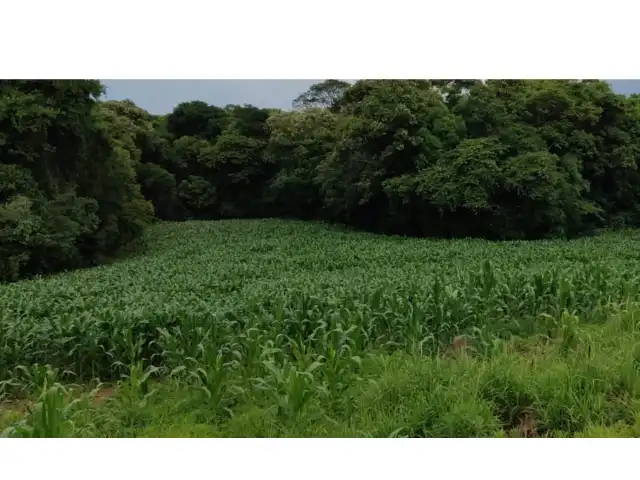 COMARCA DE SÃO LOURENÇO DO OESTE-SC