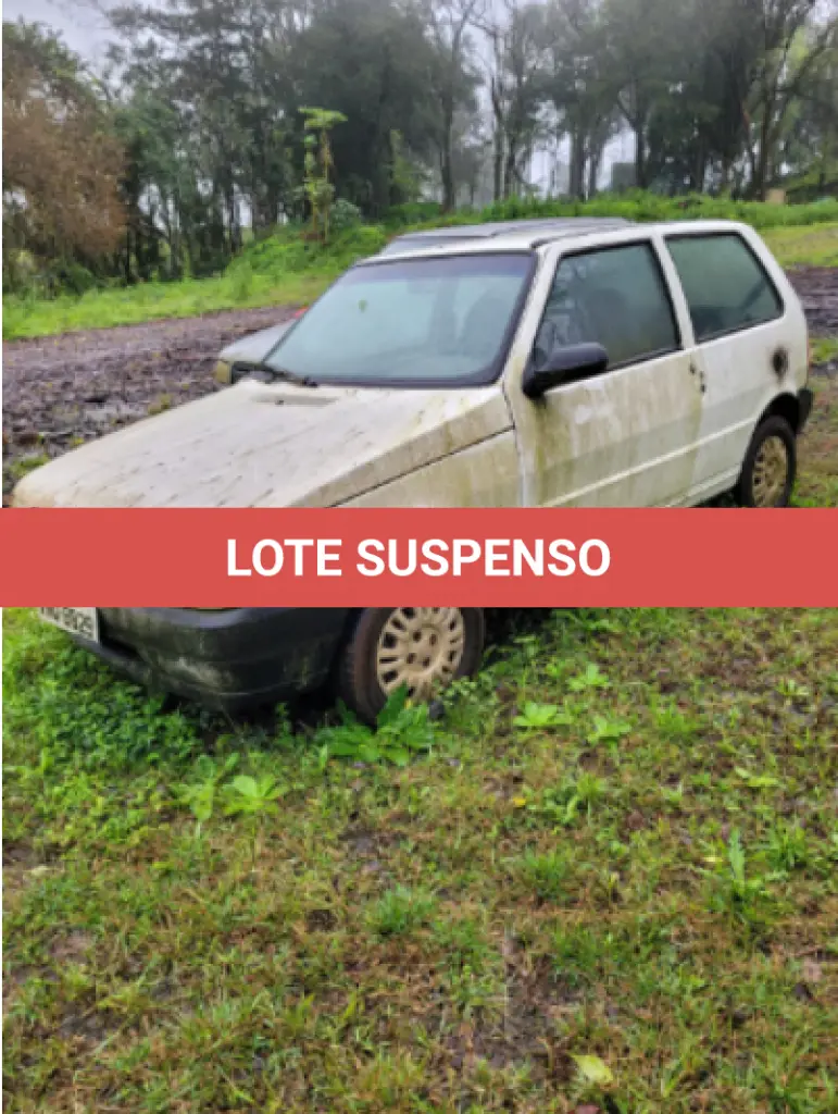 LOTE 0009