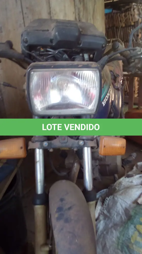 LOTE 001