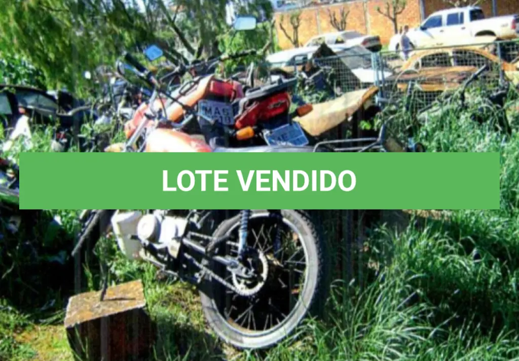 LOTE 