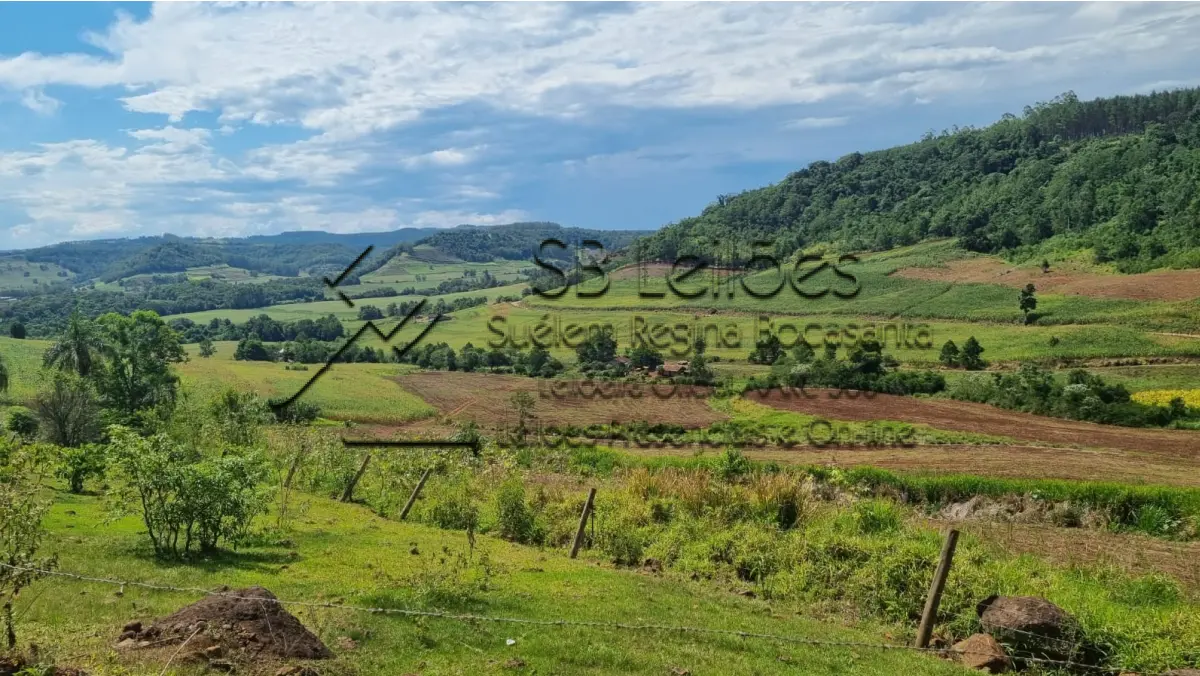 LOTE 000 - Imóvel Matrícula nº 7.480 do ORI da Comarca de Mondaí-SC