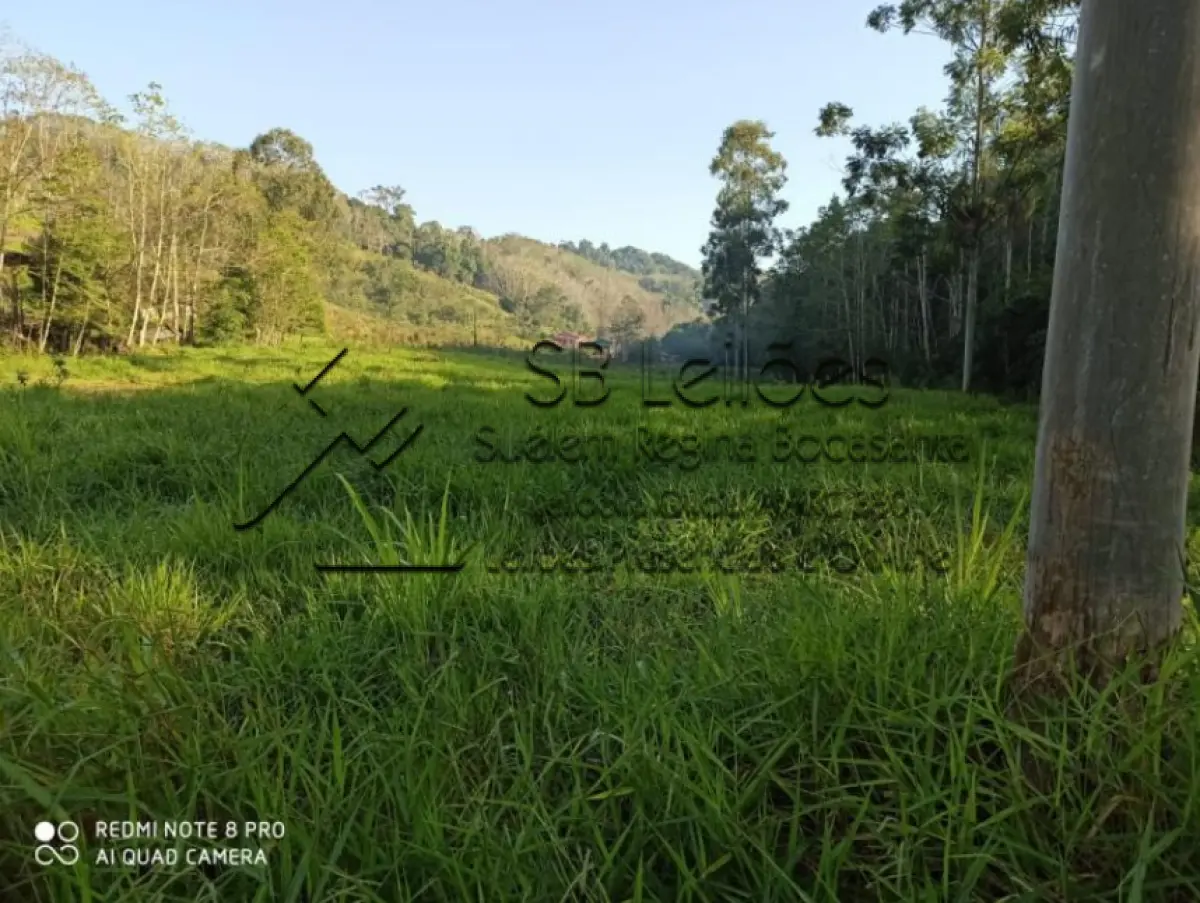 LOTE 000 - Imóvel Matrícula nº 1.393 do ORI da Comarca de Mondaí-SC
