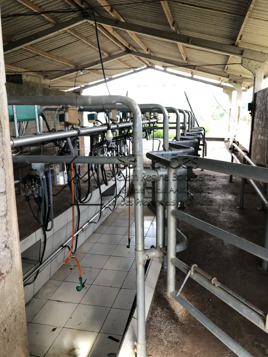 LOTE 0003 - Ordenhadeira Canalizada, Linha Média, Marca GEA