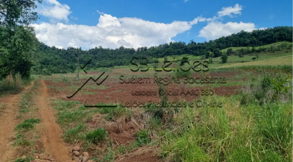 LOTE 000 - Imóvel Matrícula nº 7.480 do ORI da Comarca de Mondaí-SC