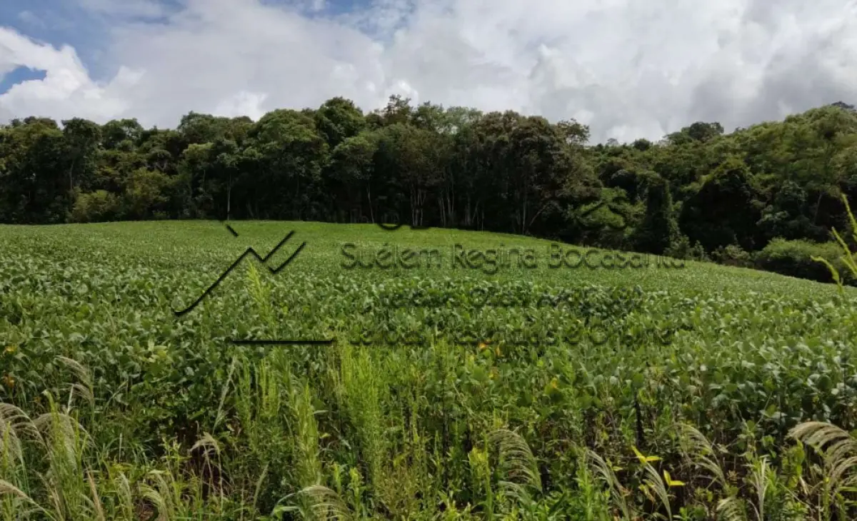 LOTE 000 - Imóvel Matrícula nº 6.731 do ORI da Comarca de São Lourenço do Oeste-SC