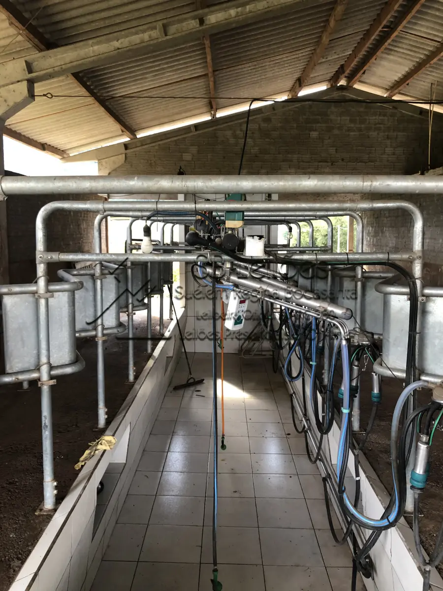 LOTE 0003 - Ordenhadeira Canalizada, Linha Média, Marca GEA