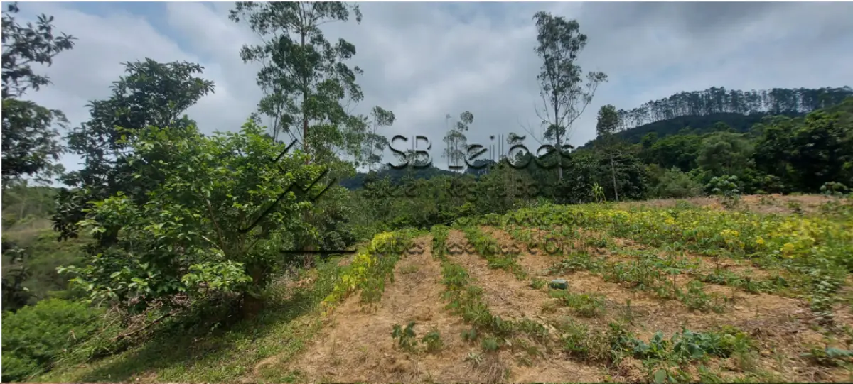 LOTE 000 - Imóvel Matrícula nº 2.275 do ORI da Comarca de Presidente Getúlio-SC
