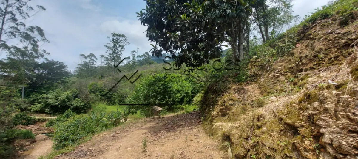 LOTE 000 - Imóvel Matrícula nº 2.275 do ORI da Comarca de Presidente Getúlio-SC