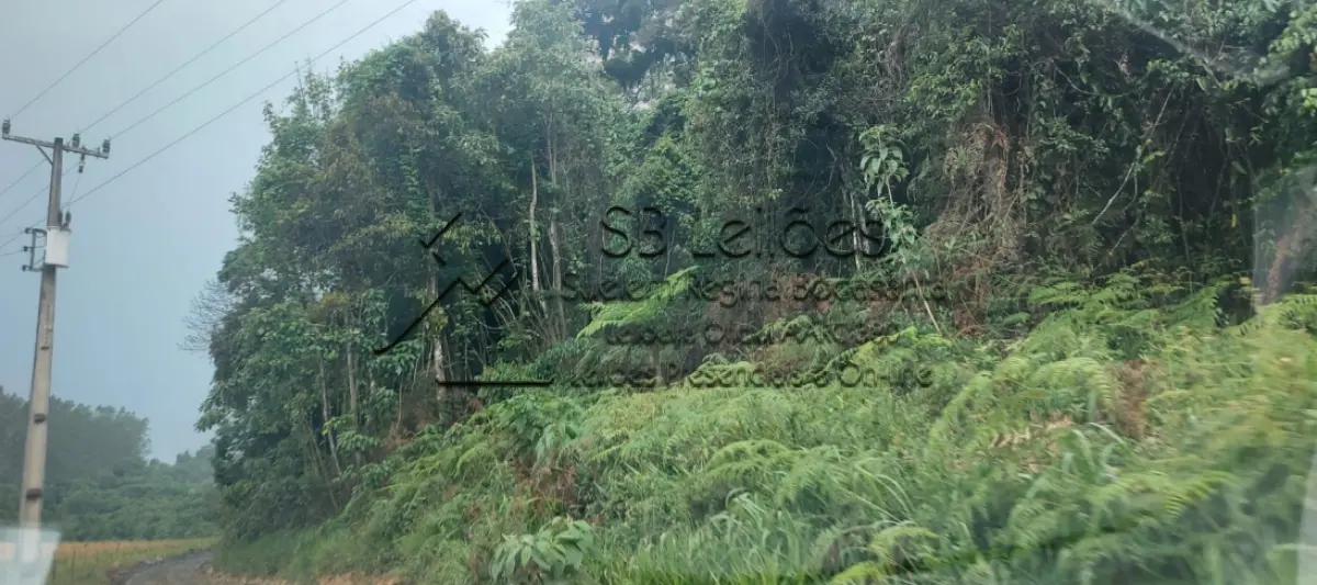 LOTE 000 - Imóvel Matrícula nº 2.275 do ORI da Comarca de Presidente Getúlio-SC