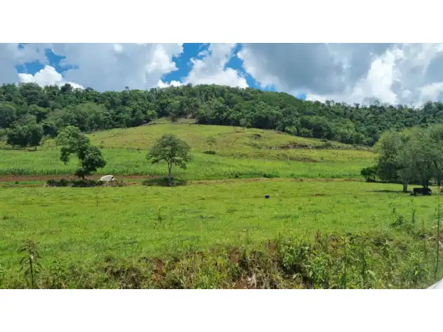 COMARCA DE MONDAÍ-SC (ELETRÔNICO)