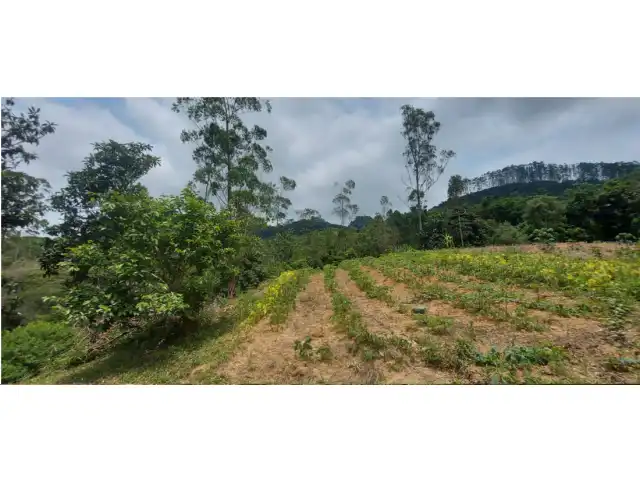 COMARCA DE PRESIDENTE GETÚLIO-SC (ELETRÔNICO)