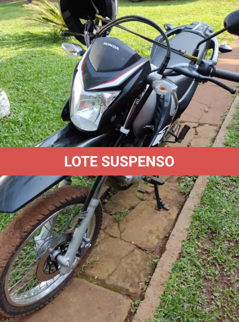 LOTE 000
