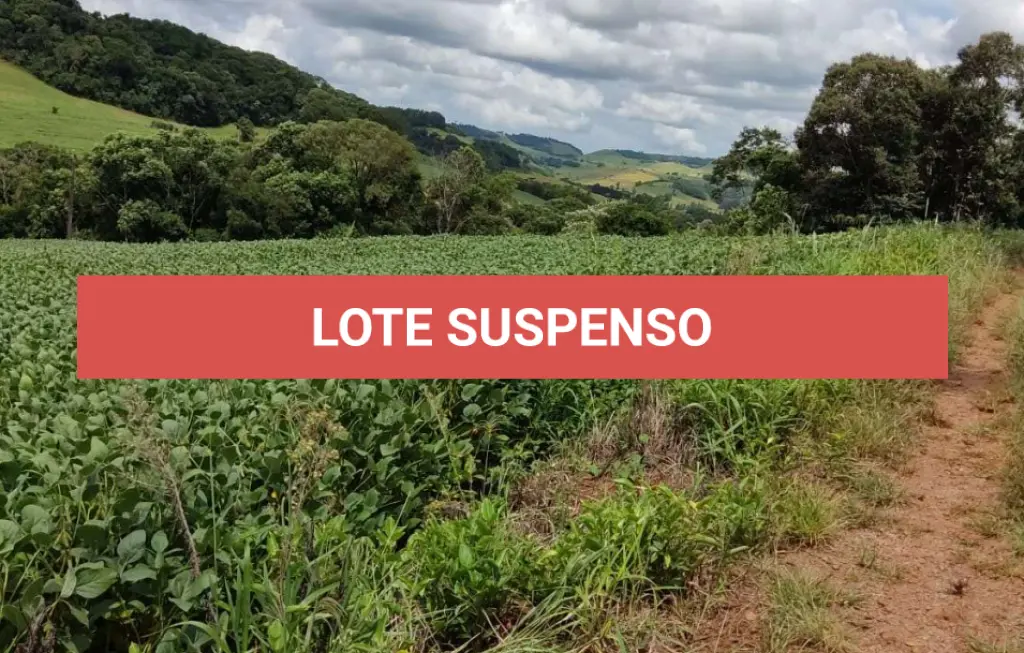 LOTE 000
