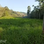 LOTE 000 - Imóvel Matrícula nº 1.393 do ORI da Comarca de Mondaí-SC