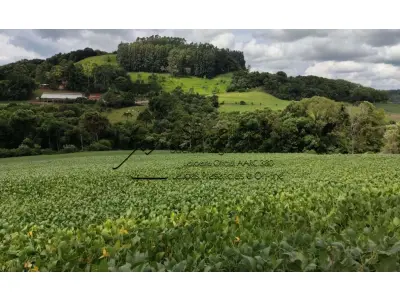 LOTE 002 - Imóvel Matrícula nº 6.731 do ORI da Comarca de São Lourenço do Oeste-SC.