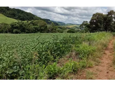 LOTE 002 - Imóvel Matrícula nº 6.731 do ORI da Comarca de São Lourenço do Oeste-SC.