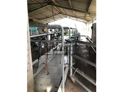 LOTE 0003 - Ordenhadeira Canalizada, Linha Média, Marca GEA