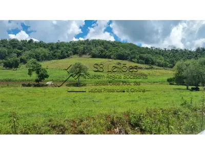 LOTE 000 - Imóvel Matrícula nº 0484 do ORI da Comarca de Mondaí-SC.