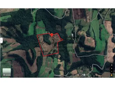 LOTE 002 - Imóvel Matrícula nº 6.731 do ORI da Comarca de São Lourenço do Oeste-SC.