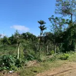 LOTE 001 - 50% do : Imóvel Matrícula nº 23.754 do Registro de Imóveis da Comarca de Gaspar-SC.