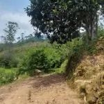 LOTE 000 - Imóvel Matrícula nº 2.275 do ORI da Comarca de Presidente Getúlio-SC